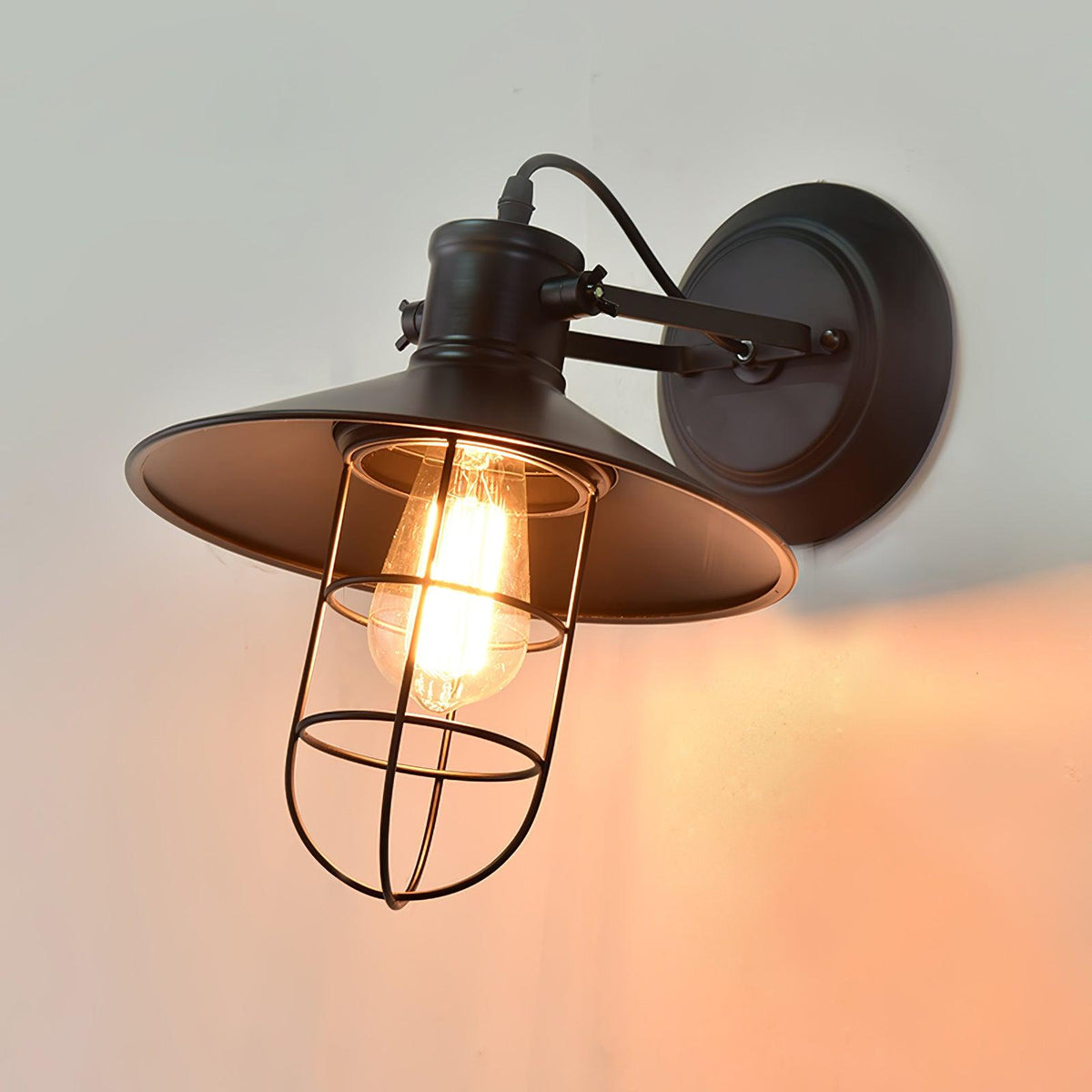 Black Cage Glass Wall Light
